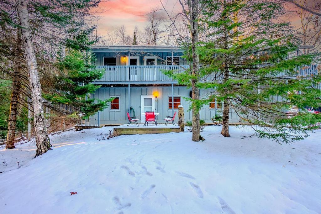 Hidden Gem, 3 Bed Cozy Condo - Dogs Welcomed Bayfield Dış mekan fotoğraf